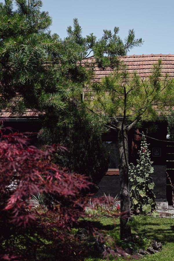 House For Rest Juliet Apartment Velika Gorica Luaran gambar